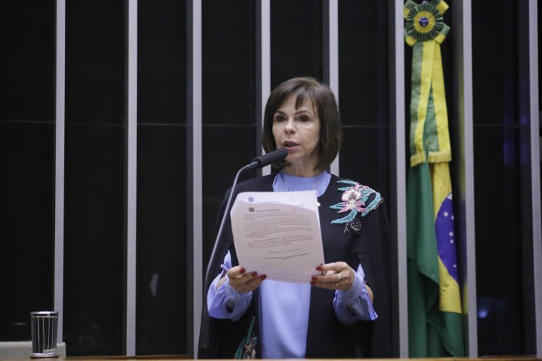 Discussão e votação de propostas. Dep. Professora Dorinha Seabra Rezende UNIÃO - TO