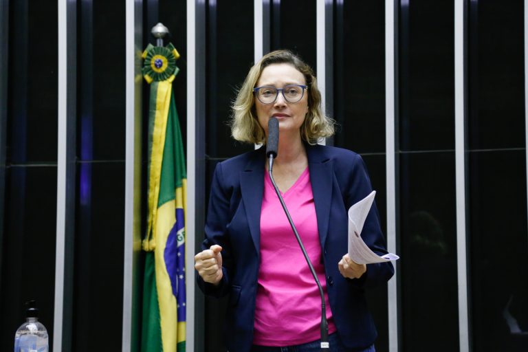 Deputada Maria do Rosário discursa no Plenário da Câmara. Ela é branca, tem o cabelo médio e loiro, usa óculos, uma camisa rosa e um blazer escuro