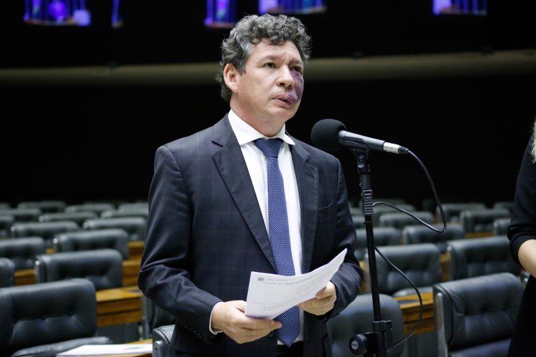 Ordem do Dia/ Proposições Remanescentes do Dia Anterior. Dep. Reginaldo Lopes PT - MG