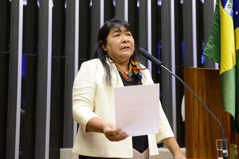 Discussão e votação de propostas. Dep. Joenia Wapichana REDE - RR