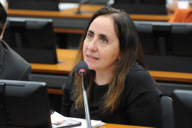 Discussão e votação de propostas legislativas. Dep. Adriana Ventura NOVO - SP