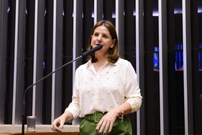 Discussão e votação de propostas. Dep. Carmen Zanotto CIDADANIA - SC