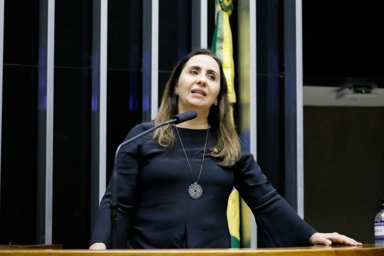 Discussão e votação de propostas. Dep. Adriana Ventura NOVO - SP