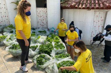 Com mais de 62 toneladas de alimentos doados, Fomeflix Solidária inicia o ano buscando novos parceiros / Foto: Divulgação