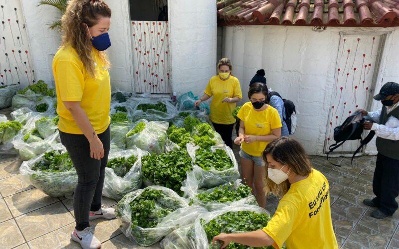 Com mais de 62 toneladas de alimentos doados, Fomeflix Solidária inicia o ano buscando novos parceiros / Foto: Divulgação