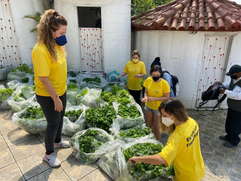 Com mais de 62 toneladas de alimentos doados, Fomeflix Solidária inicia o ano buscando novos parceiros / Foto: Divulgação