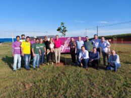 Sancor Seguros Brasil realiza plantio de ipês em comemoração ao Dia Mundial do Meio Ambiente / Foto: Divulgação
