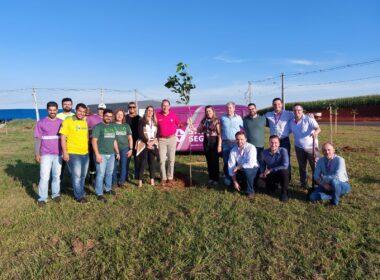 Sancor Seguros Brasil realiza plantio de ipês em comemoração ao Dia Mundial do Meio Ambiente / Foto: Divulgação