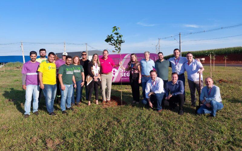 Sancor Seguros Brasil realiza plantio de ipês em comemoração ao Dia Mundial do Meio Ambiente / Foto: Divulgação
