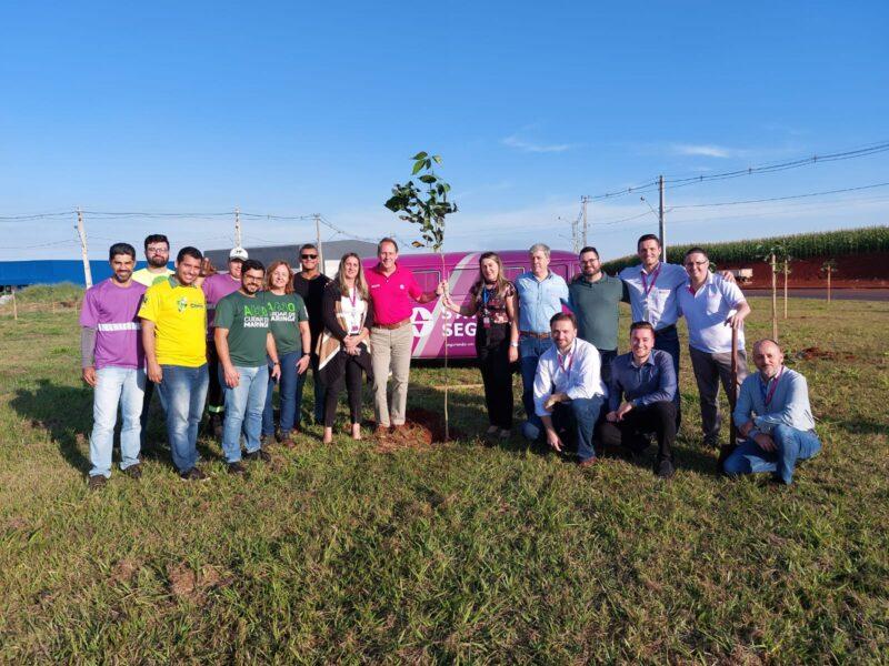 Sancor Seguros Brasil realiza plantio de ipês em comemoração ao Dia Mundial do Meio Ambiente / Foto: Divulgação