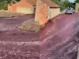 "Rio de Vinho" em cidade portuguesa demonstra importância do RC Empresarial / Reprodução / Redes Sociais