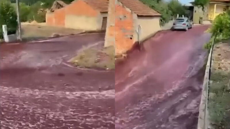 "Rio de Vinho" em cidade portuguesa demonstra importância do RC Empresarial / Reprodução / Redes Sociais