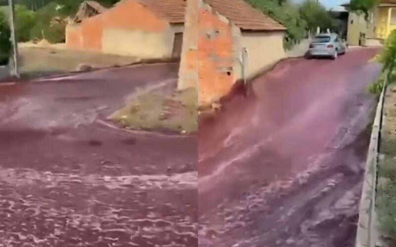 "Rio de Vinho" em cidade portuguesa demonstra importância do RC Empresarial / Reprodução / Redes Sociais