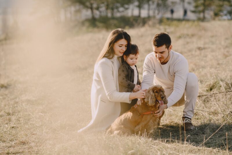 Seguro de vida oferece benefícios para o dia a dia / Foto: Pixabay