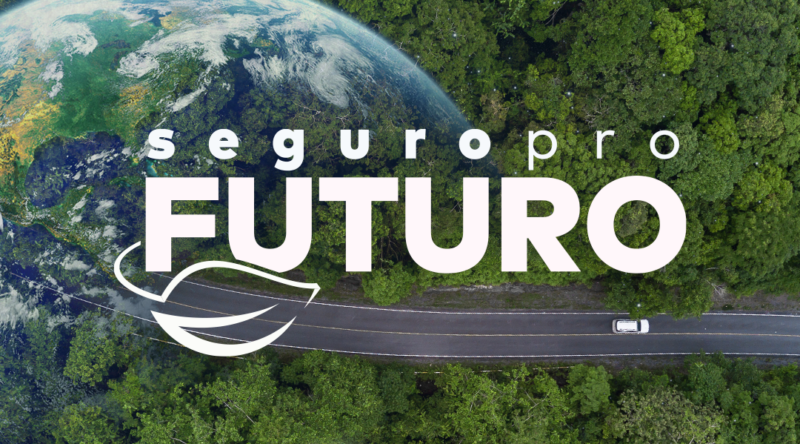 Sancor Seguros Brasil lança a campanha “Seguro pro Futuro” e reforça compromisso com a sustentabilidade / Divulgação