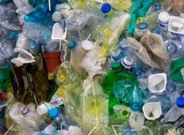 5 mitos sobre o plástico e suas alternativas / Foto: Magda Ehlers / Pexels