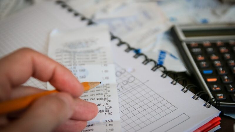 Especialista em contabilidade para investimentos ensina como pagar menos impostos sem sonegar/ Foto: pexels
