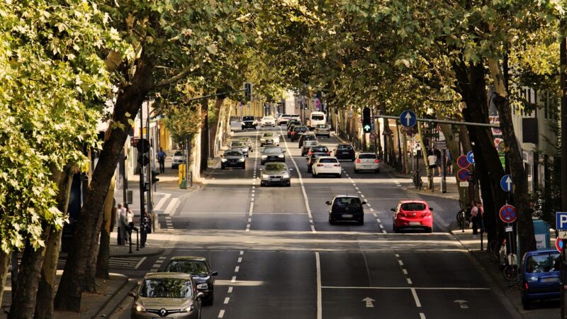 Detran-SP convoca mais de 70 mil operadores que atuam em atividades delegadas ou reguladas para recadastramento obrigatório/ Foto: Pixabay
