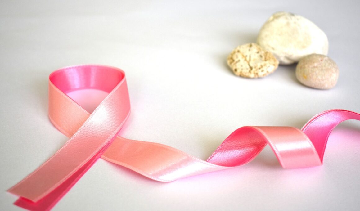 Outubro Rosa: Como o apoio afetivo é peça chave na prevenção e tratamento do câncer de mama / Foto: Pixabay