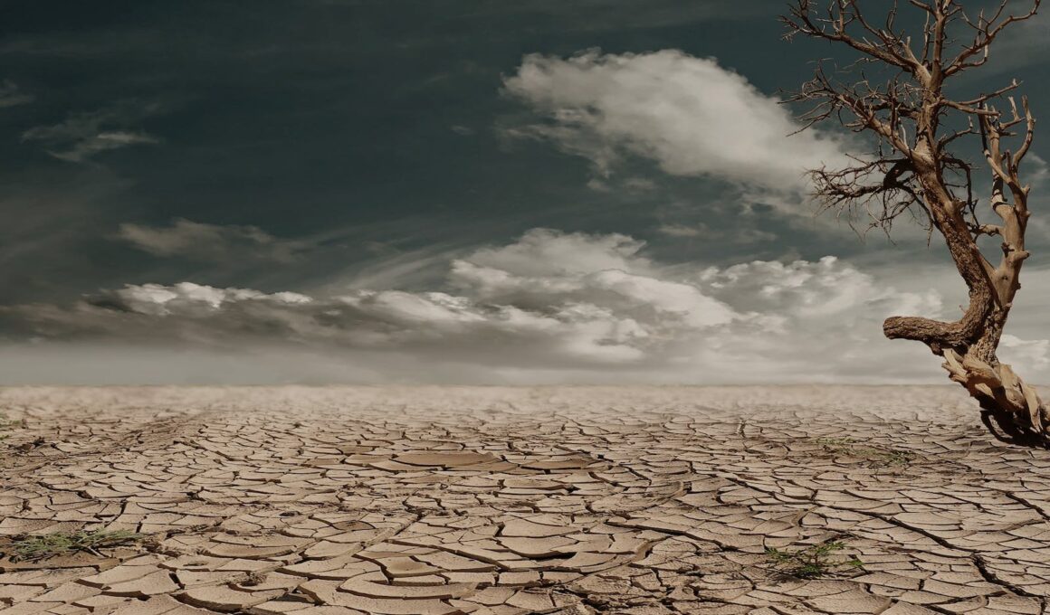 Mudanças climáticas têm forte impacto no setor de energia/ Foto: Pixabay