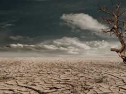 Mudanças climáticas têm forte impacto no setor de energia/ Foto: Pixabay