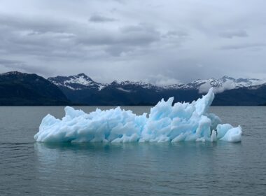 Desafios Climáticos e as perspectivas do mercado segurador em debate/ Foto: Unsplash