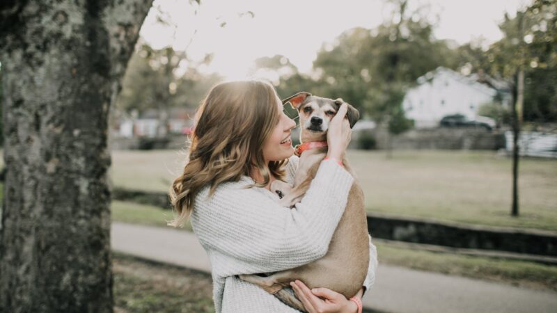 Elanco Saúde Animal cresce 5% no terceiro trimestre, com receita de US$ 1,06 bi/ Foto: Pexels
