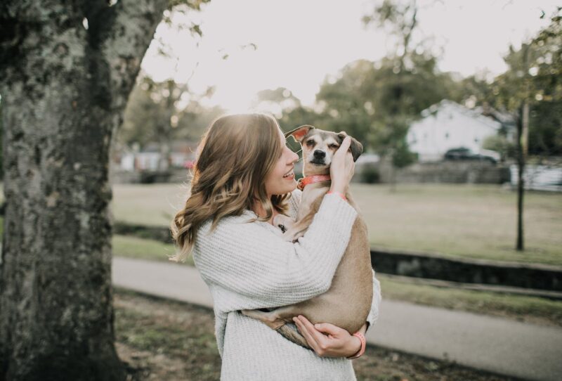 Elanco Saúde Animal cresce 5% no terceiro trimestre, com receita de US$ 1,06 bi/ Foto: Pexels
