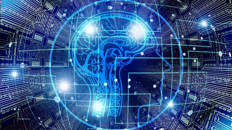 Solução da Neurotech identifica clientes com probabilidade 180% maior de adquirir seguro de automóvel/ Foto: Pixabay