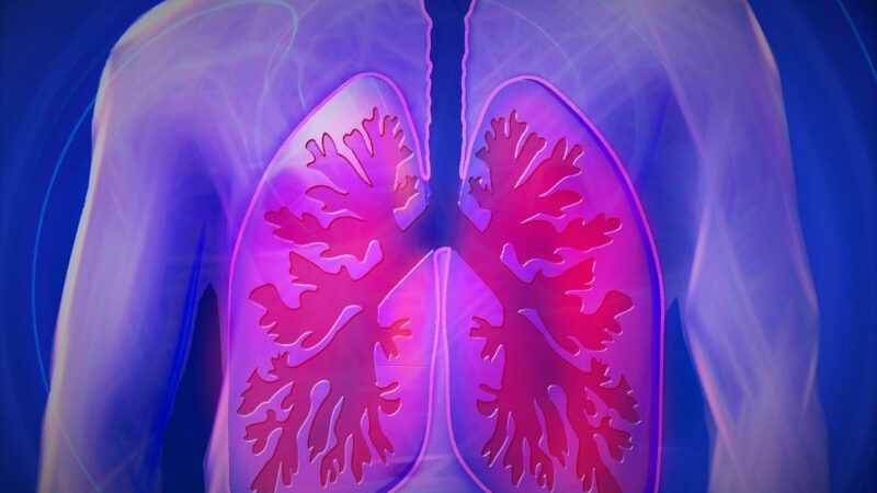 Campanha Novembro Branco alerta para os cuidados com a saúde pulmonar / Foto: Unsplash Images