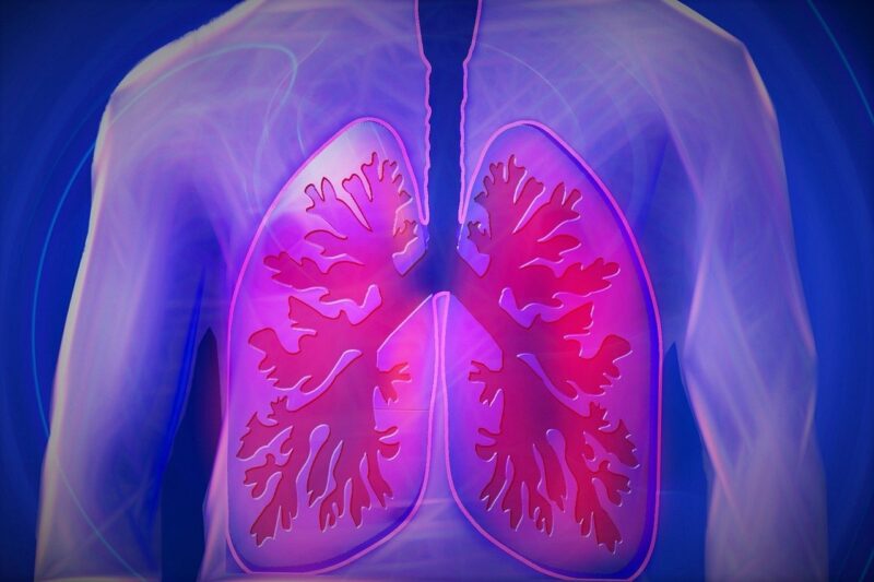 Campanha Novembro Branco alerta para os cuidados com a saúde pulmonar / Foto: Unsplash Images