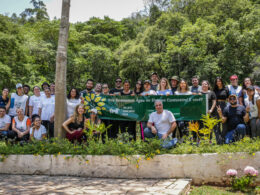 MetLife mobiliza colaboradores para o plantio de mais de 5 mil mudas de árvores em Nazaré Paulista / Foto: Divulgação