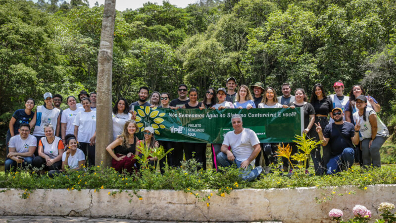 MetLife mobiliza colaboradores para o plantio de mais de 5 mil mudas de árvores em Nazaré Paulista / Foto: Divulgação