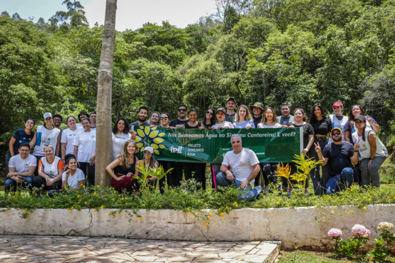 MetLife mobiliza colaboradores para o plantio de mais de 5 mil mudas de árvores em Nazaré Paulista / Foto: Divulgação