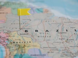 De norte a sul do país: qual a tendência do mercado de seguros para 2024?/ Foto: Pexels