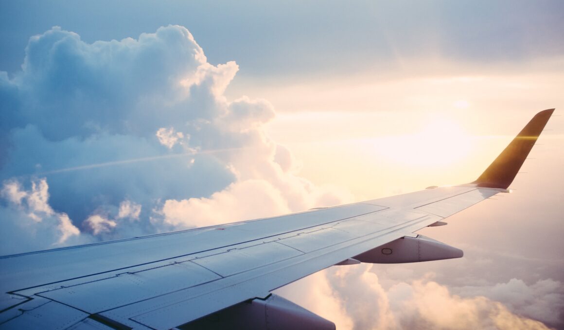Procura por seguro viagem aumenta mais de 200% em 2023, aponta SulAmérica/ Foto: Unsplash
