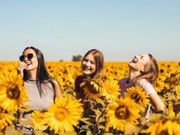 Sodexo, em parceria com a Fundasp, capacita mulheres em ação social de Final de Ano/ Foto: Unsplash