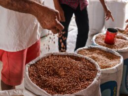 El Niño pode impulsionar os preços das commodities agrícolas, analisa Allianz Trade/ Foto: Unsplash