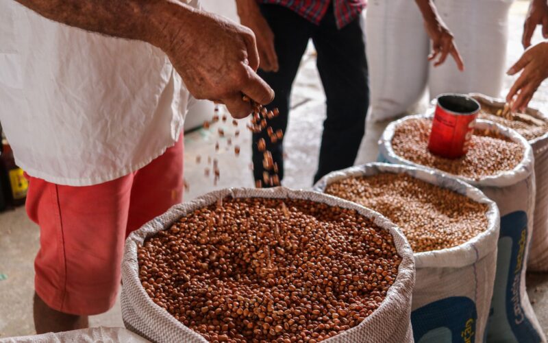 El Niño pode impulsionar os preços das commodities agrícolas, analisa Allianz Trade/ Foto: Unsplash