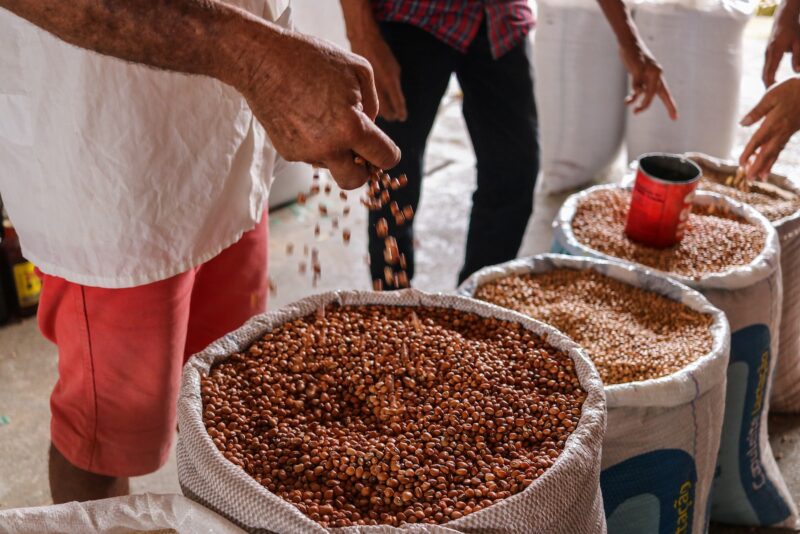 El Niño pode impulsionar os preços das commodities agrícolas, analisa Allianz Trade/ Foto: Unsplash
