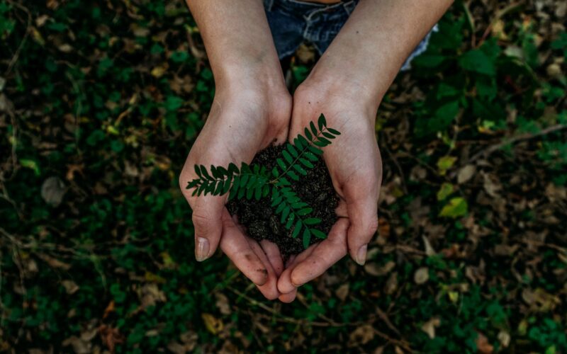 Grupo Generali promove a cultura da sustentabilidade para as PMEs e mostra importância de políticas públicas sobre o tema/ Foto: Unsplash