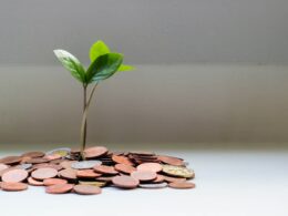 Banco Central determina ações de educação financeiras aos clientes/ Foto: Unsplash