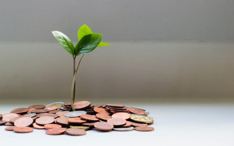 Banco Central determina ações de educação financeiras aos clientes/ Foto: Unsplash