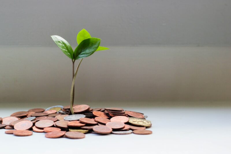Banco Central determina ações de educação financeiras aos clientes/ Foto: Unsplash