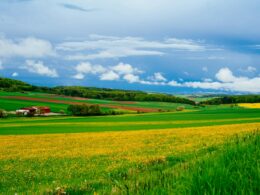 Entenda os impactos do El Niño no Agro e como isso afeta a cadeia da segurança financeira/ Foto: Unsplash