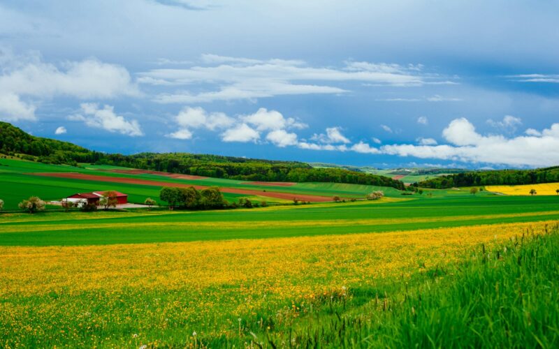 Entenda os impactos do El Niño no Agro e como isso afeta a cadeia da segurança financeira/ Foto: Unsplash