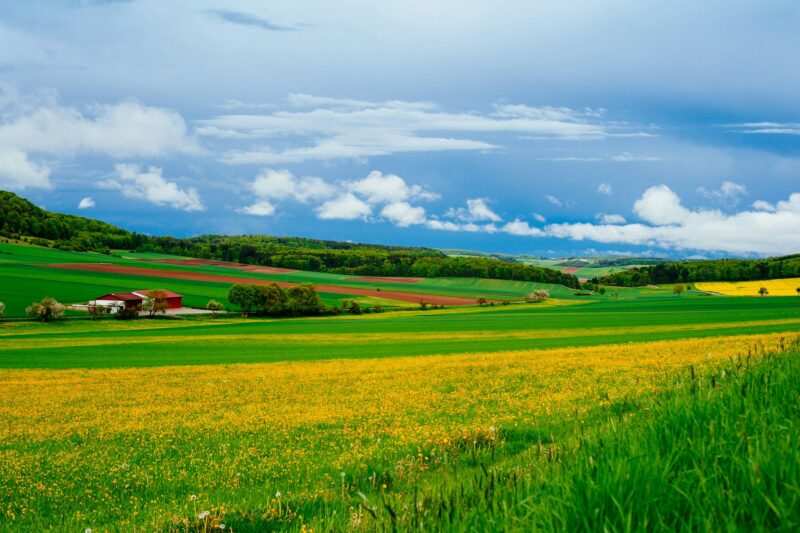 Entenda os impactos do El Niño no Agro e como isso afeta a cadeia da segurança financeira/ Foto: Unsplash