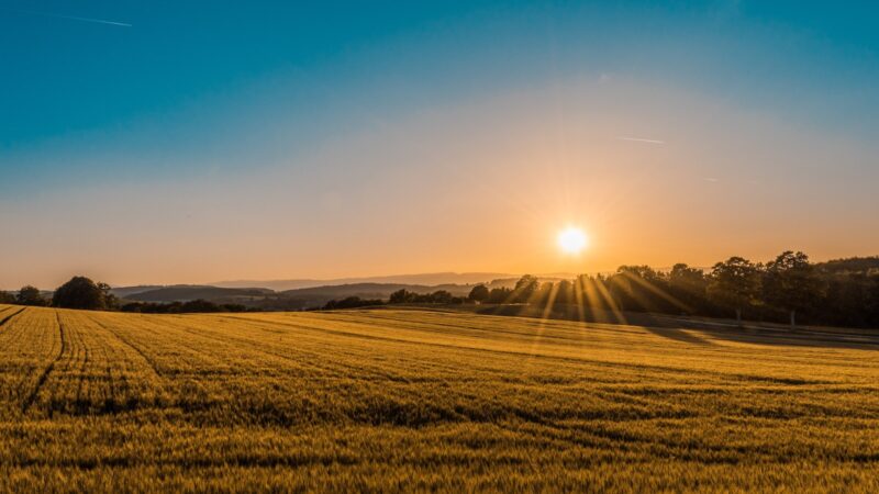 Eventos climáticos respondem por quase 139 mil ocorrências no seguro Agrícola/ Foto: Unsplash