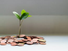 Porta dos Fundos e PagBank lançam vídeos sobre questões financeiras nas redes sociais/ Foto: Unsplash