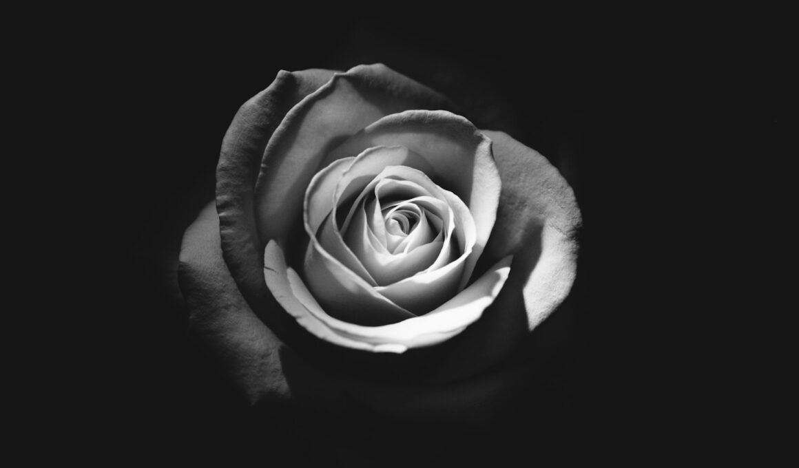 Galcorr lamenta falecimento de Bruno Souza, superintendente de Property & Casualty / Foto: Rodion Kutsaiev / Unsplash Images